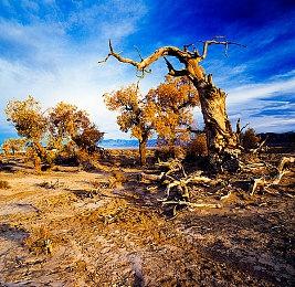 《忍者龙剑传4》被ESRB评为成人级 某些女角穿着暴露